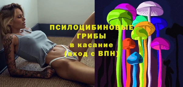 стаф Беломорск