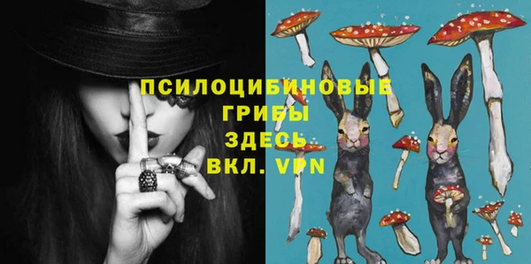 гашик Богданович
