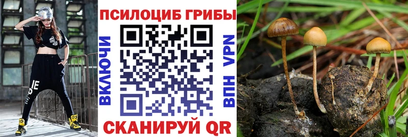 Псилоцибиновые грибы Psilocybine cubensis  ссылка на мегу ССЫЛКА  Надым 